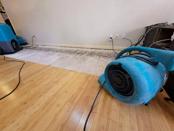 Professional Water Damage Repair technician working in Hebron, OH